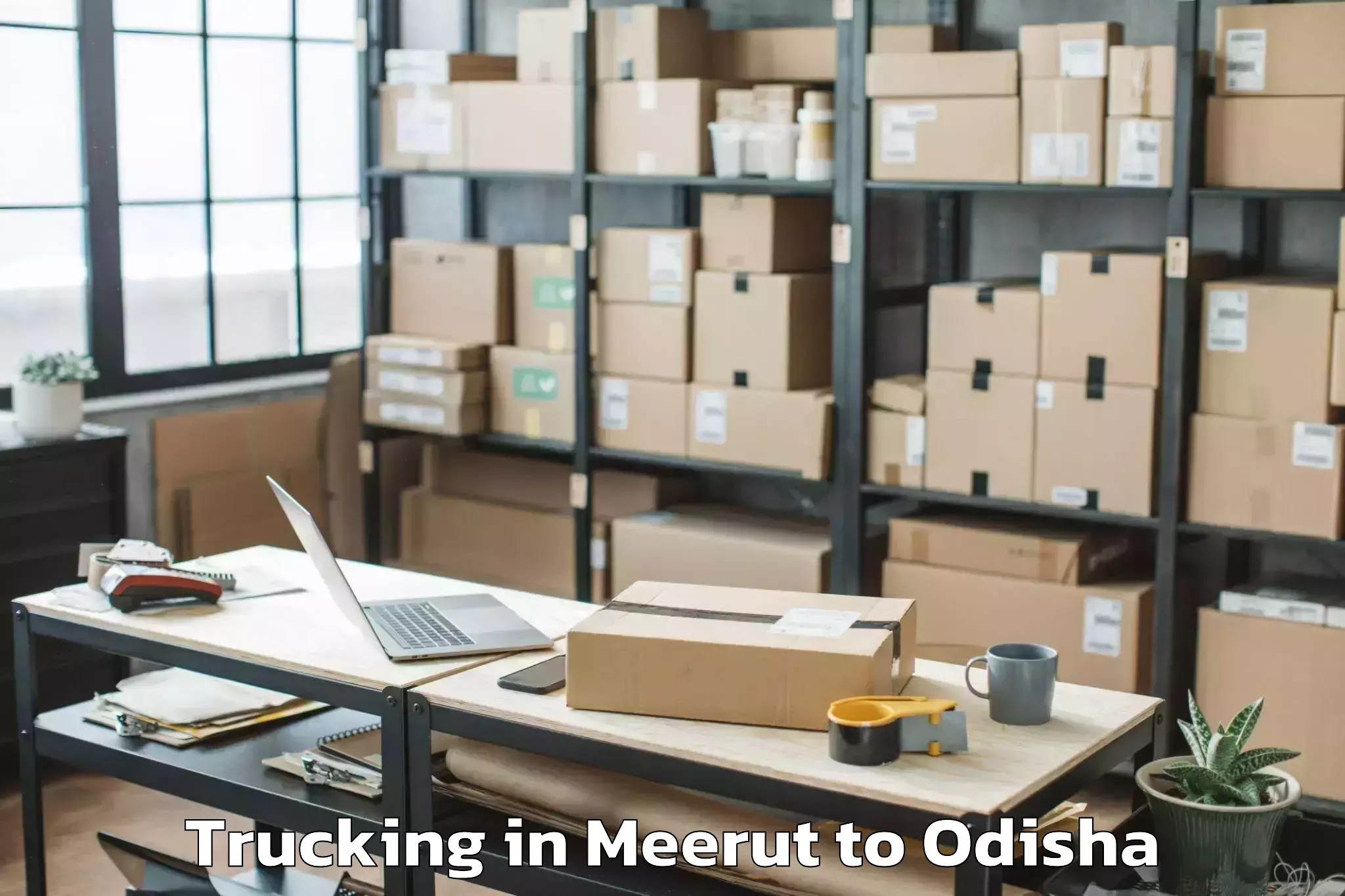 Top Meerut to Odagaon Trucking Available